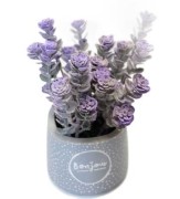 1a4093ebdd4768dc38f78761ef089a13