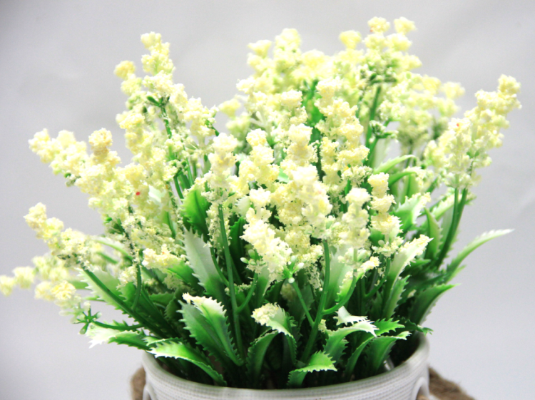 6cb350b906099cb0607dd6f55451299e