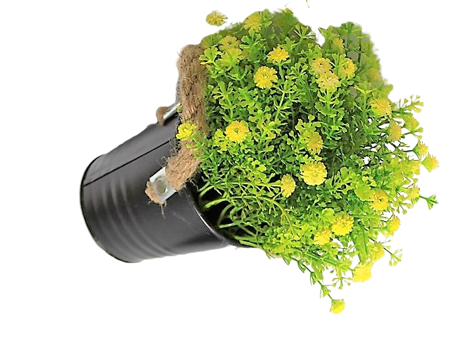 ca65b1c33a50265c77f86521d5cb28d4