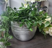 206641bb62efbfc3803b186db93a36ca