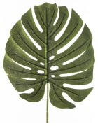 fc44ce304e6dd639c74ace99af5fa4c9