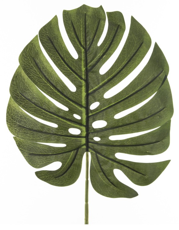 fc44ce304e6dd639c74ace99af5fa4c9