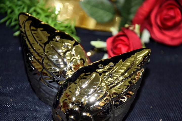 1c7a644497924afbddc6cfb1cf3ce979