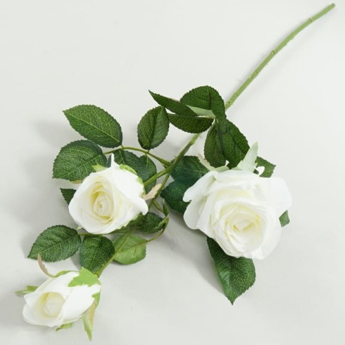 34e5acd25c97a81a9a921122370a6a8e