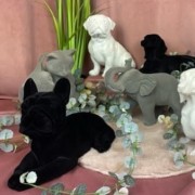 2201b1bd0df122472962805012ee9327