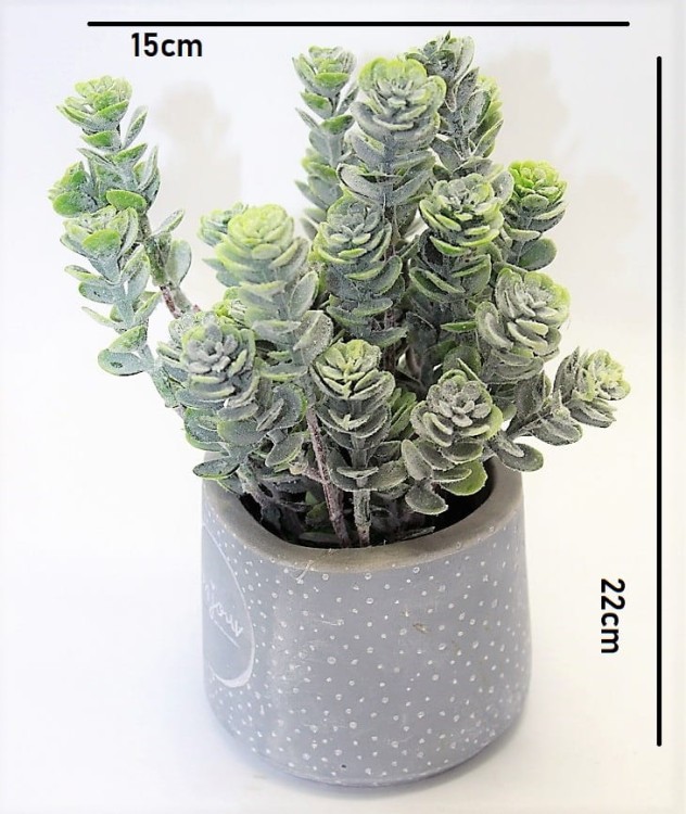 363d594557cea1469d879b7c7de6c673