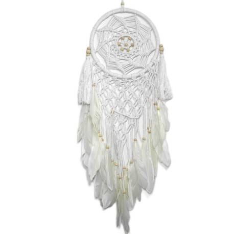 2dd4b57904d9251d75b9a258a31b058b