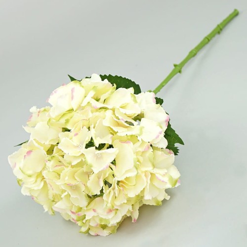 HORTENSJA POJEDYNCZA 66CM