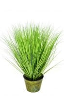 19fa382c78b322a78c729304d24e4db6