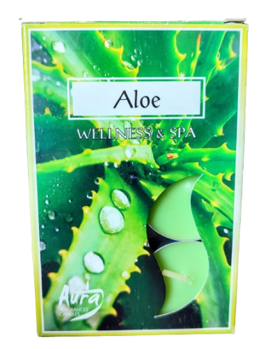 PODRZEWACZE T-LIGHT ALOE ALOES 6 sztuk