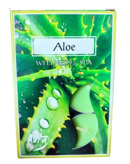 PODRZEWACZE T-LIGHT ALOE ALOES 6 sztuk
