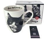 bd6b8ba65e2c696351e0f37883f75554