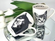 a8d65e8564ac49adb9439c282c428710