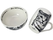 dbf764fda31ae65f6c9b680029d500d5