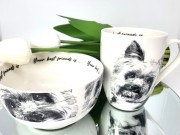 9d3a2d88bbc654fe3ba4819f0d049efa