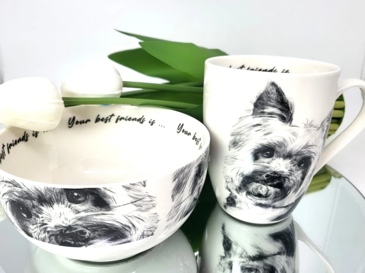 9d3a2d88bbc654fe3ba4819f0d049efa