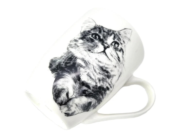 51969a9aef21a6dbb2c776d72879b948