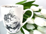 8f88a9880f9ed8a781a6b014d65a2c3b