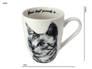 c9488fd3d323de4feb33c63c1ce48e22