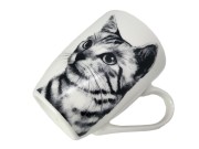 3626616ea1ca2c9204f4cf086357ad68