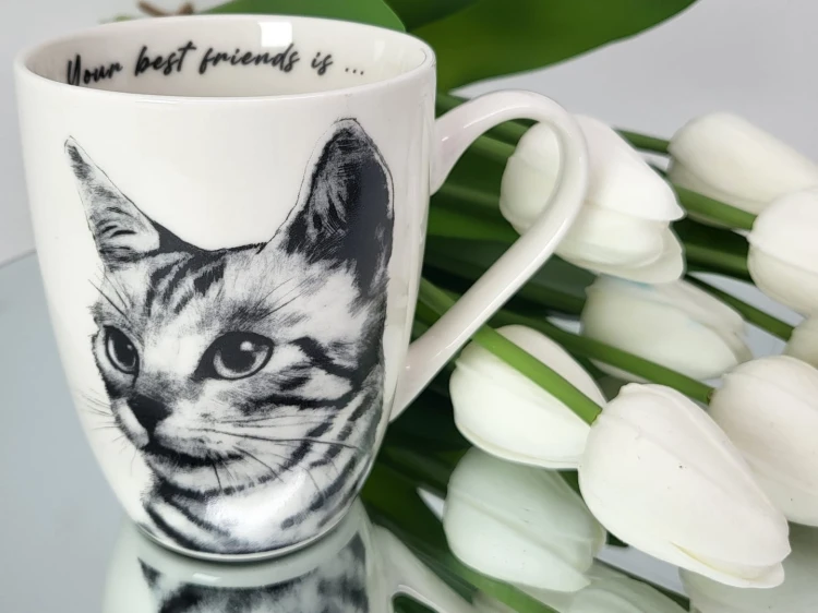 c595bca8e051018cee960e46d8539fca