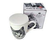 af45c9b9c8c797eacd022d1a43867208