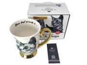 08c54a116bb629c922c5f6066e77b267