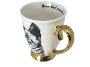 2f881c0aafa052b2abfd8f0f2e6f3fc2