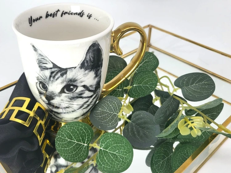 9035dabb42e8909b8af2602a93cb4bb9