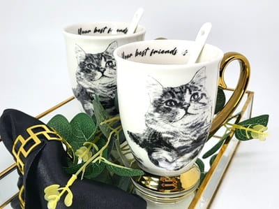 cc03d3a4addde27228ac2d3d35dc364e