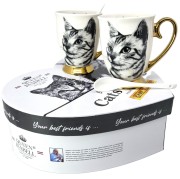 938b4538c545fd938a5f4dc9b1490214