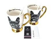 8c85fdc1a11a82530a889155177f91bb