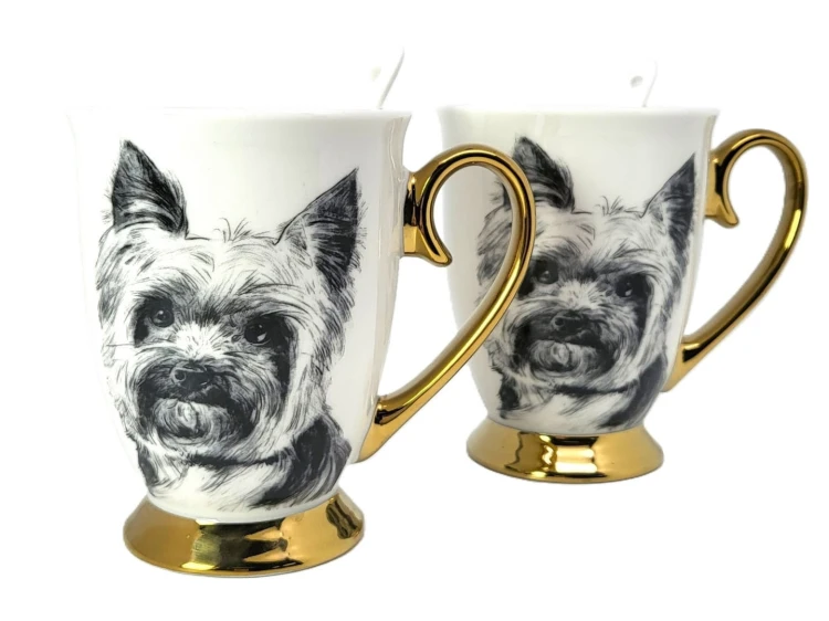 256b9f0be36331b1d3c6fd4f05b71657