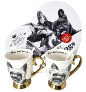 3654ec555dabb69f08b72e5f028e70d9