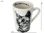 fb96ed734fa55a3dbe78ea8ddafa937c