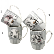 4a95d4529e872a4bc3f39e213bc63517