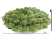 85e9f9daa832219f176993a93553509f