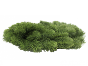 1bd65b9697c312fb4abd6dfd612e2e38