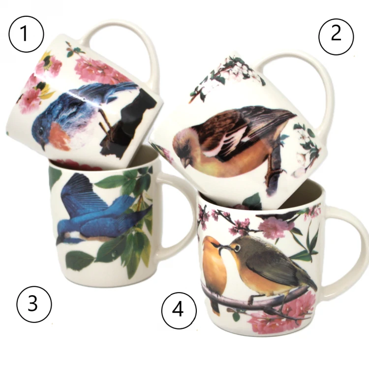 891c49dcadc994a889258615fa62254e