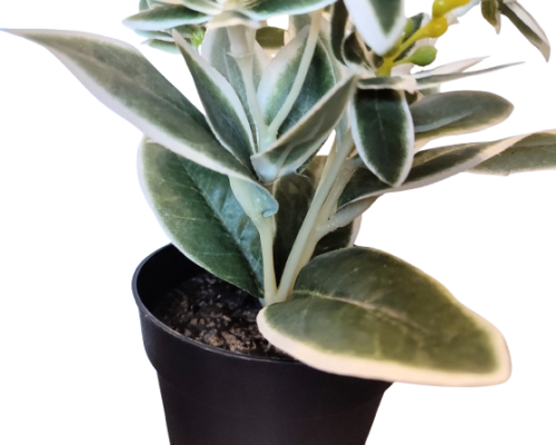 8bc5d384c7995c7182e17d7469da3bb1