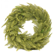 24a72397784285525385b416e8e80f74