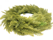 aeb8d6ff09909025e09cbcaa471434ef