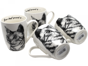 96a6e7d9babc14560bc1602cc5470486