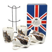 d58da4d03a3b2876fc41eea96124f950