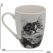 a76202d8a52d0199b56a344fdad240de