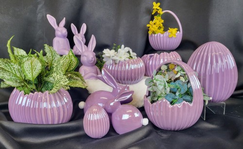 fdb5aa5a72d924748becbb72411ef1a1