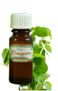 OLEJEK ZAPACHOWY OREGANO
