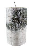 ŚWIECA BRZOZA PNIAK 70/120mm BIAŁY