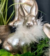 f1acc00a1559ba6ad196f2aa1dfd801c