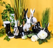 8a75032885c72a0880216b9b6c2cf90c